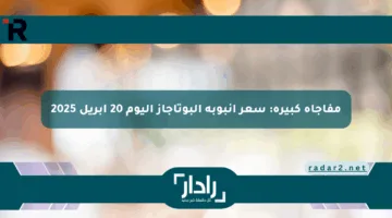 مفاجأة كبيرة: سعر أنبوبة البوتاجاز اليوم 20 أبريل 2025